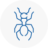 Ant Removals In West Ealing