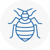 Bed Bug Extermination In West Ealing