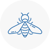 Bee Nest Removal West Ealing