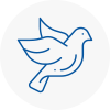 Bird Prevention West Ealing