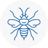 West Ealing Hornet Nest Removals