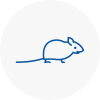 Mice Exterminators In West Ealing