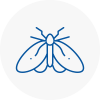 Moth Control Specialists In West Ealing
