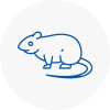 Rat Control West Ealing