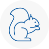 West Ealing Rodent Removals